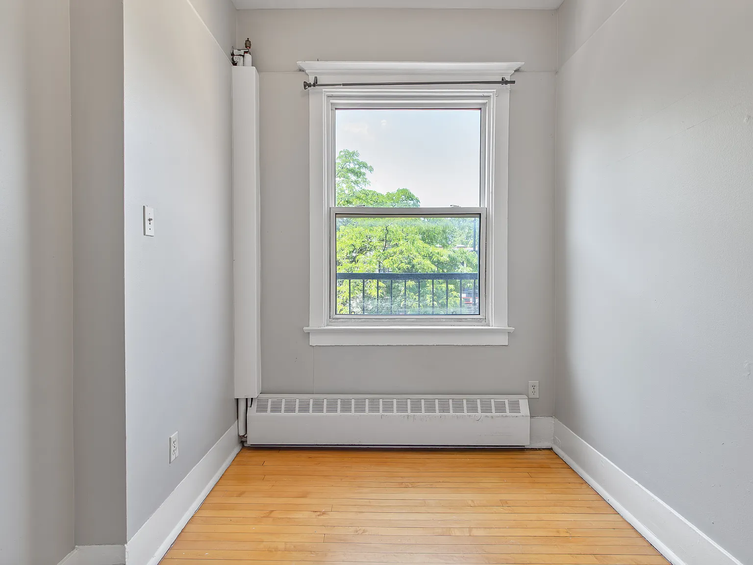 351 Elgin Street — Photo 4
