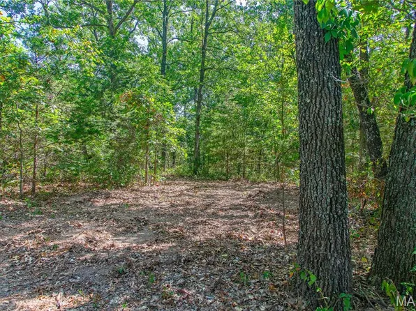 30801 Godt Rd, Wright City, MO 63390