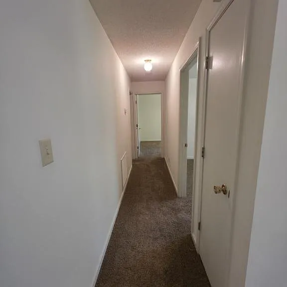 208 Beech St — Photo 11