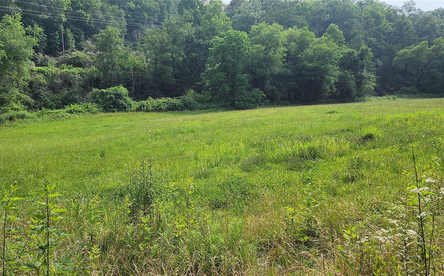 99999 Cane Creek Rd, Fairview, NC 28730 Zillow