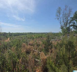 TRACT 8 County Road 256, Wedowee, AL, 36278