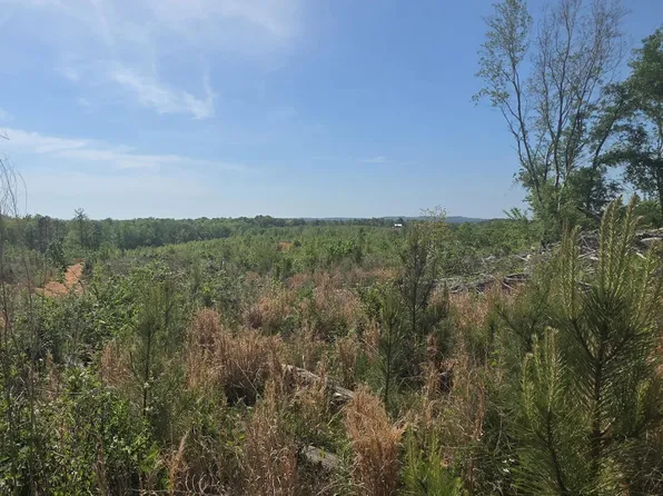 TRACT 8 County Road 256, Wedowee, AL 36278