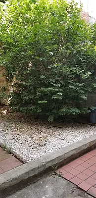 Rented by Keller Williams NYC | media 19