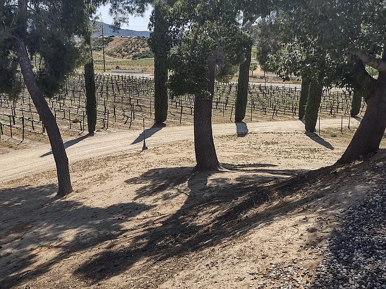 37850 De Portola Rd — Photo 58