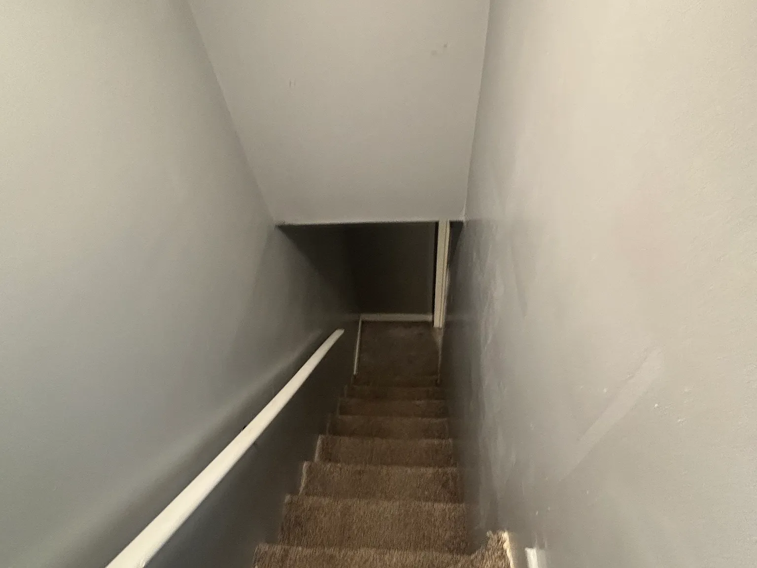 2 bed, 1600 sqft, $900 — Photo 4