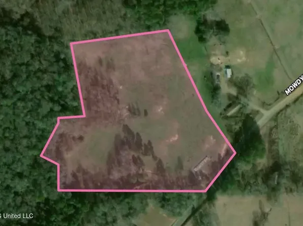 3 Mowdy Rd, Walnut Grove, MS 39189