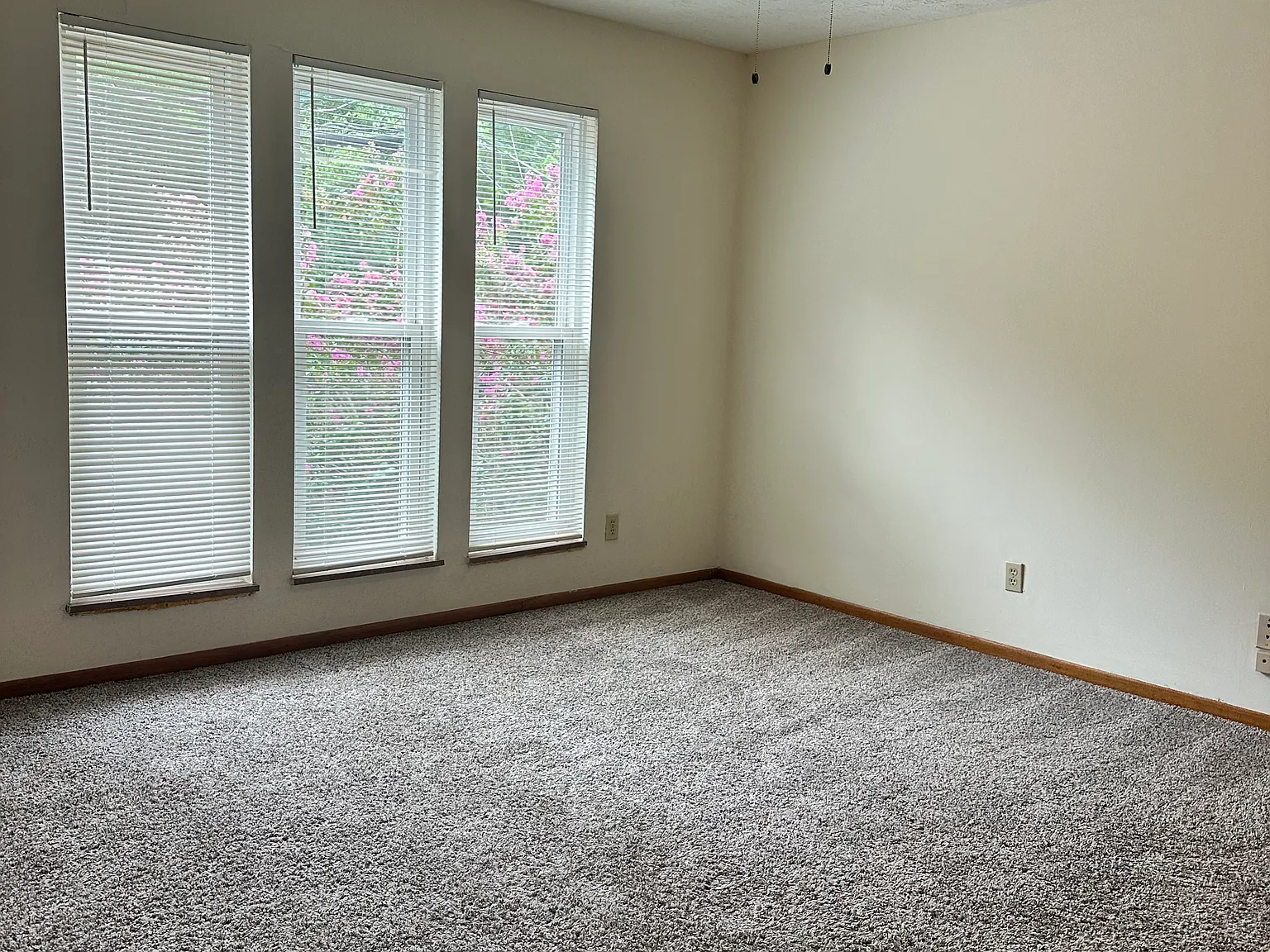 2 bed, 1300 sqft, $1,450 — Photo 1