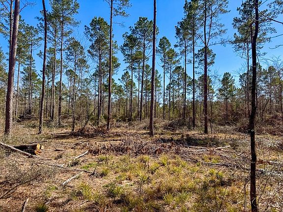 4th image of 2 Boontown Rd