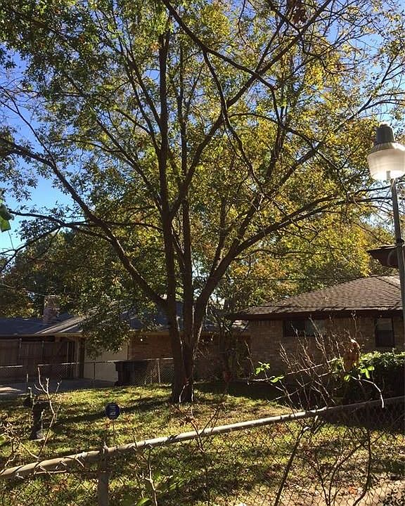 2nd image of 3013 Natalie Dr