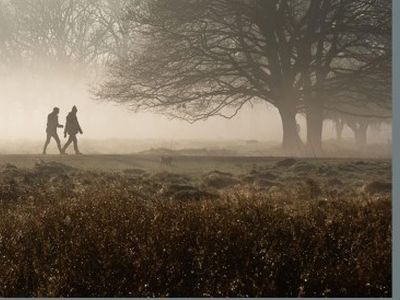 3021 Del Rio Pike Lot 59, Franklin, TN, 37069