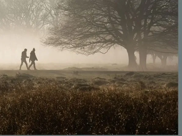 3021 Del Rio Pike Lot 39, Franklin, TN 37069