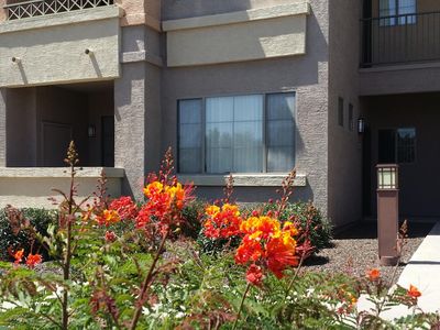 1941 S Pierpont Dr APT 1134, Mesa, AZ, 85206