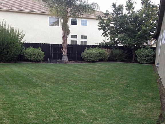 Left side of backyard