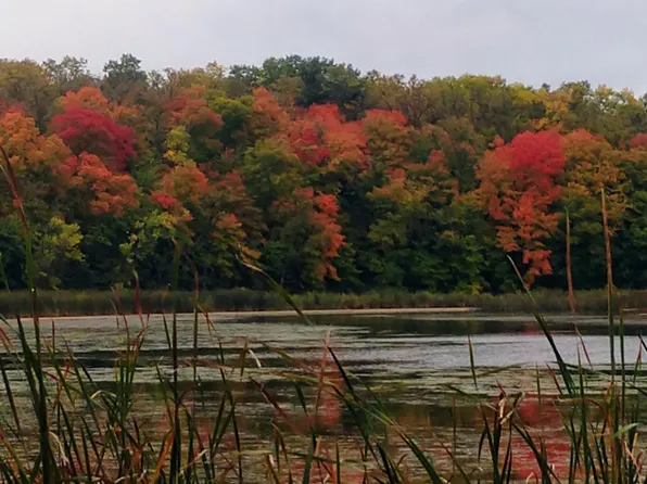 Maple Island Dr SE, Glenwood, MN 56334