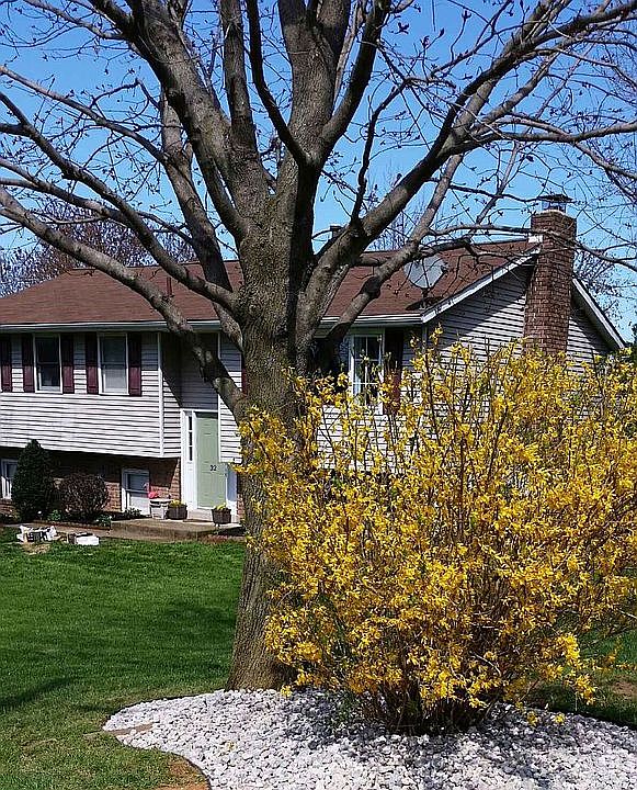 Shot of Home from Corner