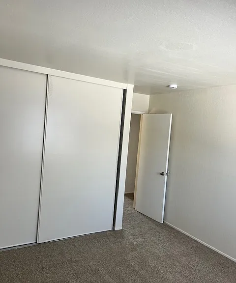 PINE TERRACE APARTMENTS — Photo 28