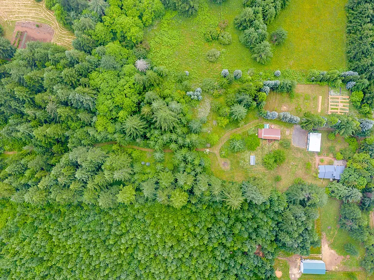 3194 Crooked Finger Rd NE — Photo 12