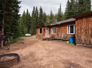 843 Brook Dr, Idaho Springs, CO 80452