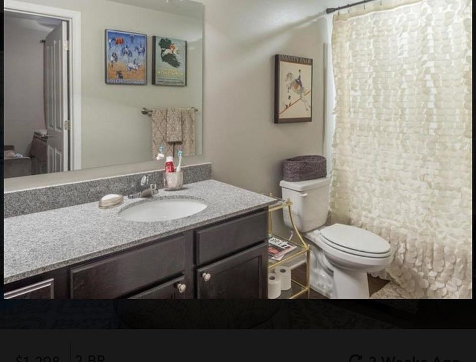 290 Russell St Starkville, MS, 39759 Apartments for Rent Zillow