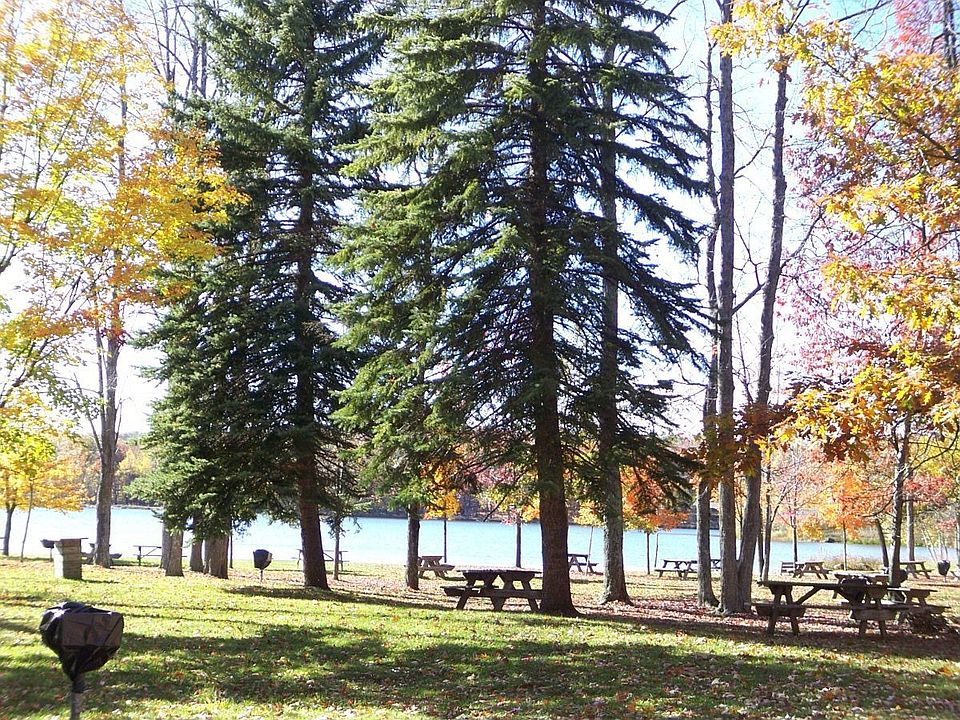 Community Picnic Grove