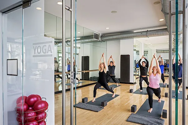 Rented by Two Trees | media 34