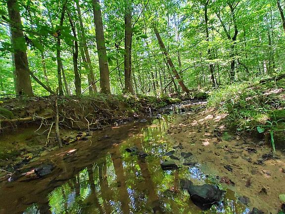 Slow-moving creek perfect for hot summer days.