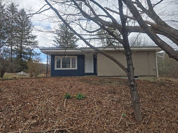 116 Coons Rd, Middleburgh, NY 12122