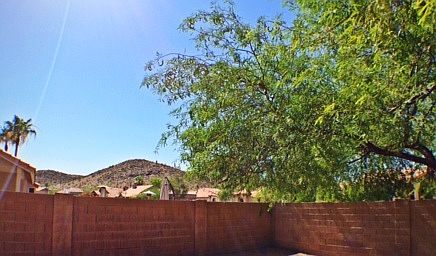 View from backyard