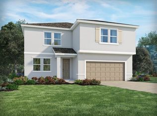 11828 Cara Field Ave, Riverview, FL 33579