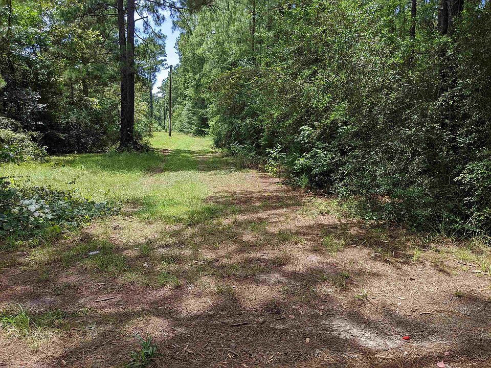 County Road 4102, Call, TX 75933 Zillow