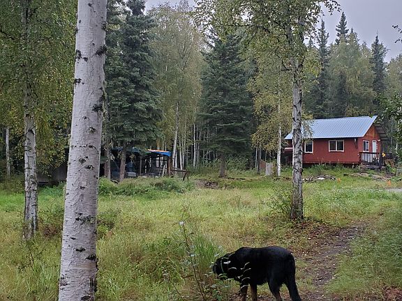 2nd image of 4447 Four Paws Ln