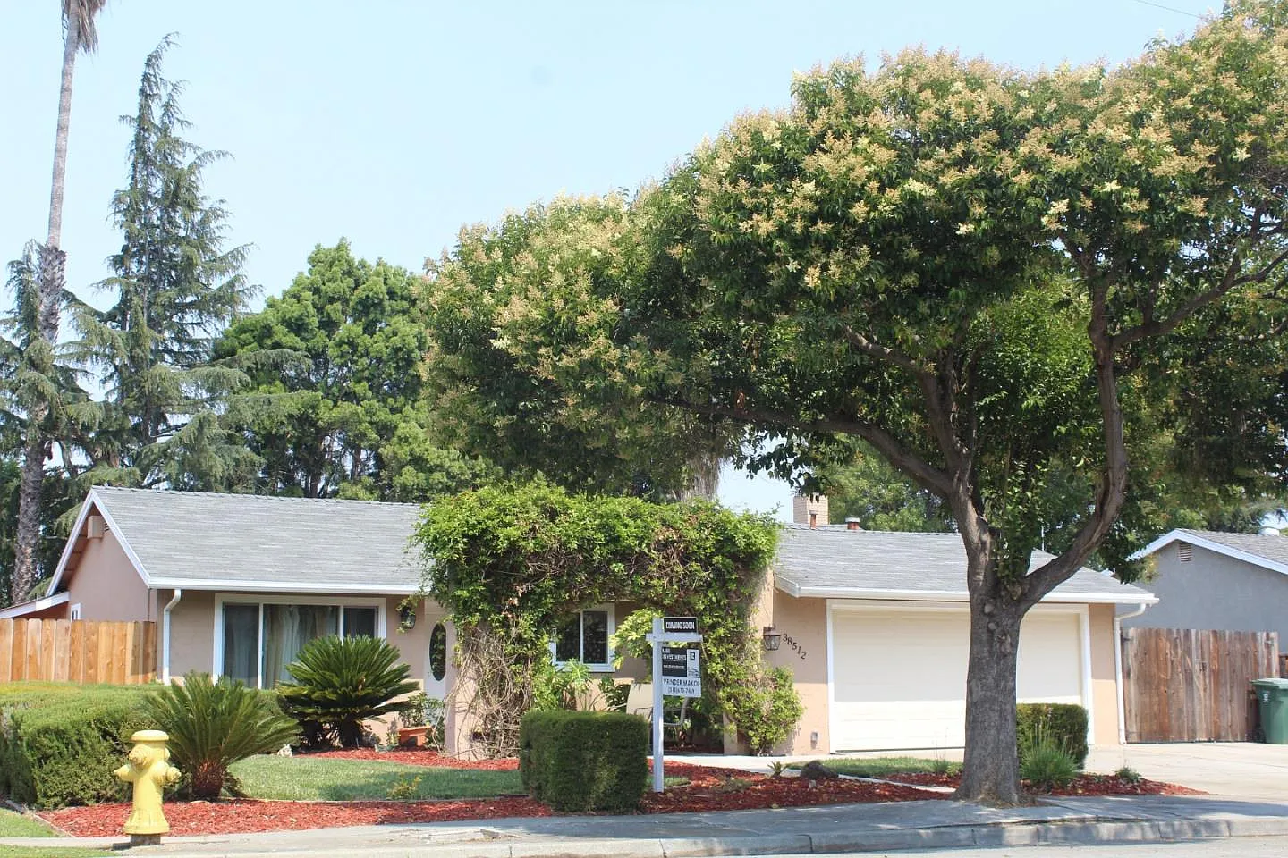 38512 Birch St photo 1