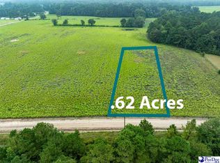 LOT 2 Tansy Rd, Loris, SC 29569