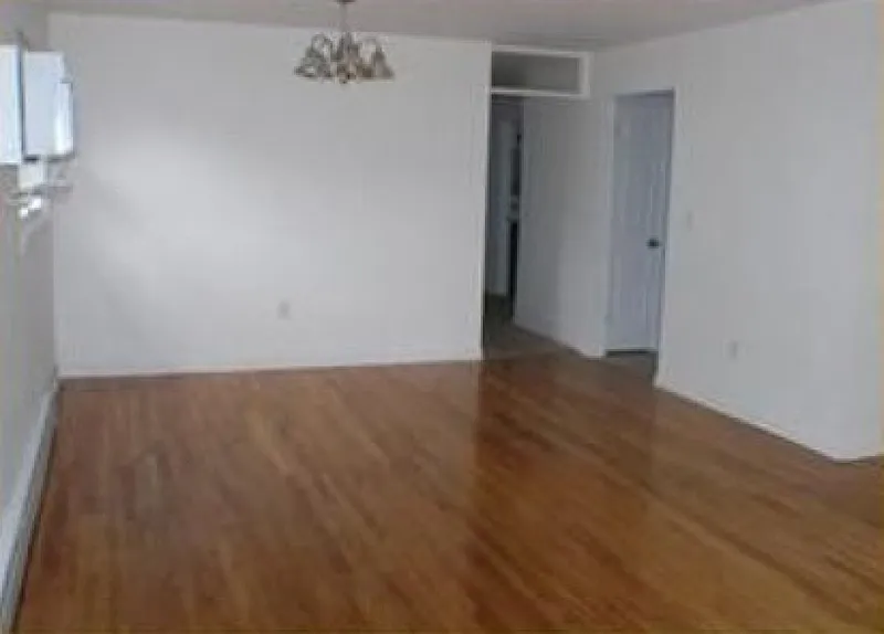 3 bed, 1.0 bath, $3,800 — Photo 4