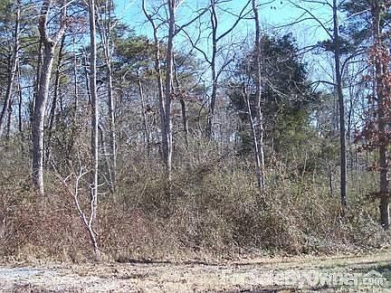 Creek Lot #2- $25,000 : Additional creek lot in Olive Branch Subdivision in Rainsville.