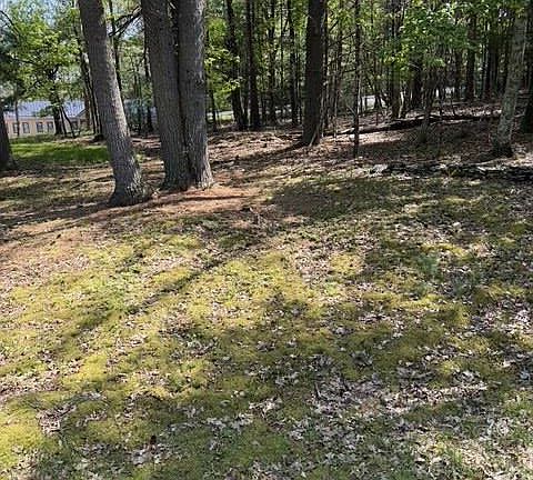 2nd image of 655 Samsonville Road