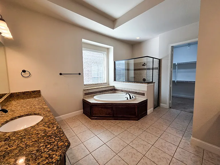 Master Bathroom 1a