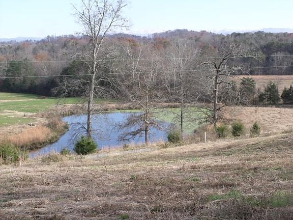 4th image of 0 Little Notchy Creek Rd