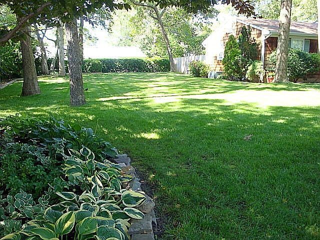 Summer pic of beautiful lush landscaping