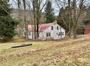 50-110 Barrett Rd, Delhi, NY 13753