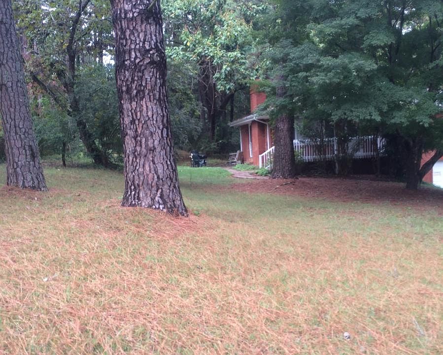 Front yard