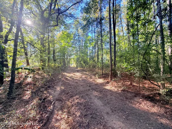 Summit Dr SW, Bogue Chitto, MS 39629