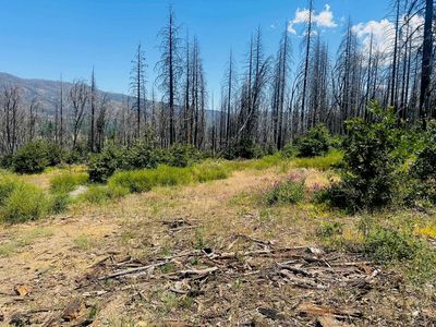 172 Standart Mine Rd, Greenville, CA, 95947