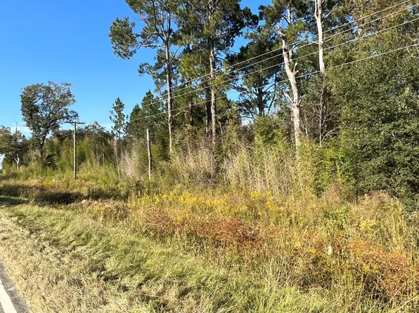 0 Sapps Lake Rd, Enigma, GA 31749
