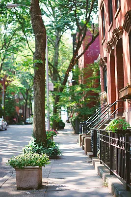 Rented by Compass | media 11