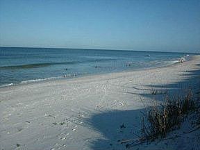 5th image of 204 Seagrass Cir