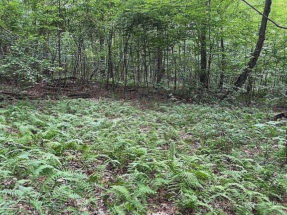 4th image of LOT 19 Tillamook Ln