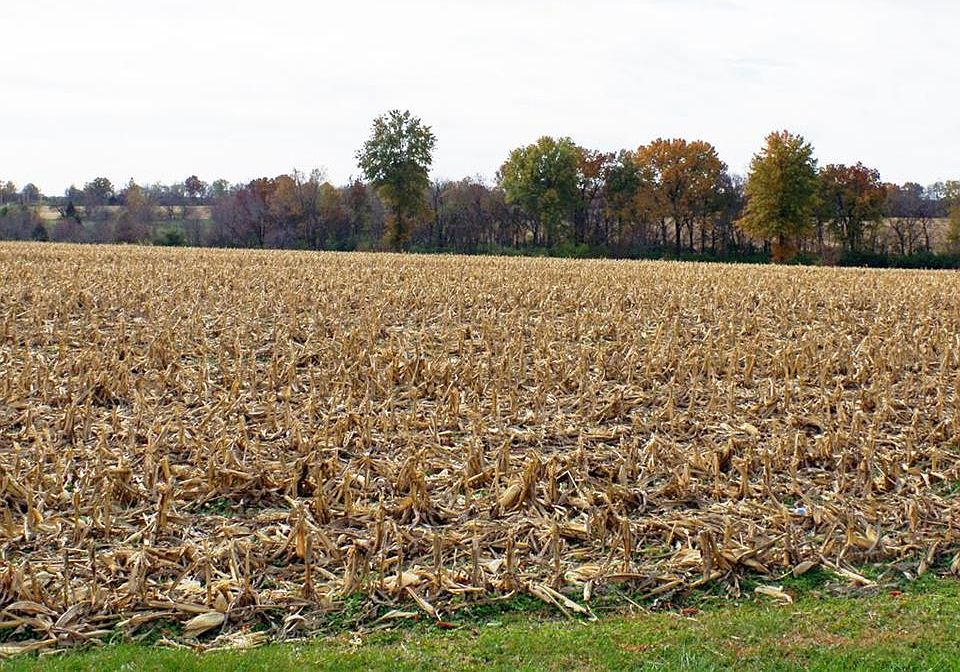 1st image of 0 Mennemeyer Rd
