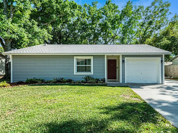 5116 Ellendale Ave, Tampa, FL 33625