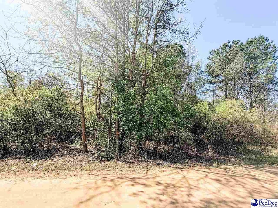 1st image of Judsons Mdw